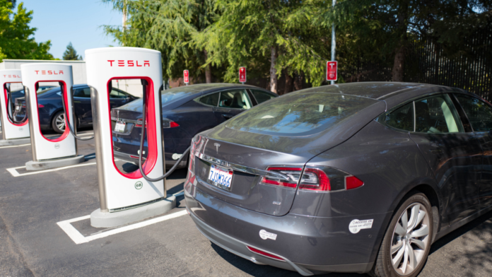 Tesla shares down