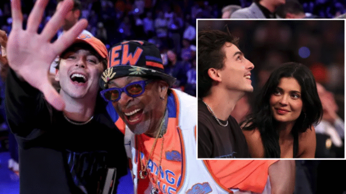 Timothy Chalamet Knicks Fan