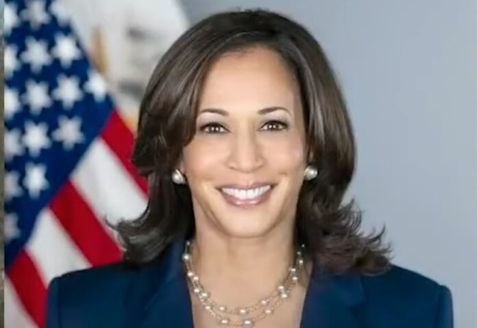 Kamala Harris Must Decide Her Political Future This Summer