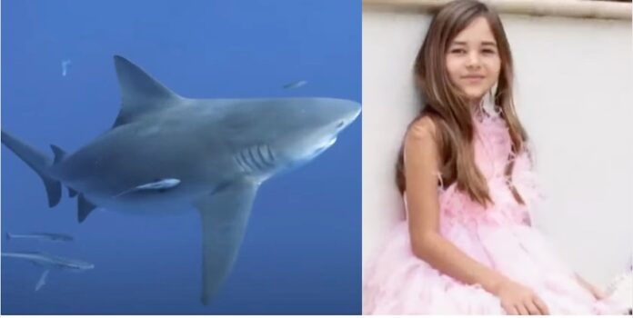 Florida Shark Attack Injures 9-Year-Old Snorkeler