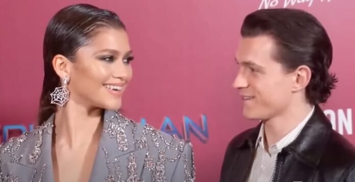 Zendaya Has To Postpone Wedding Plans With Tom Holland