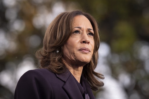 Election 2026 Governor Harris-Preview (JPG)