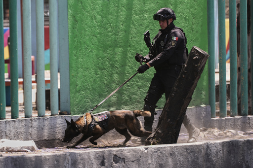 Mexico Extortion-Preview (JPG)