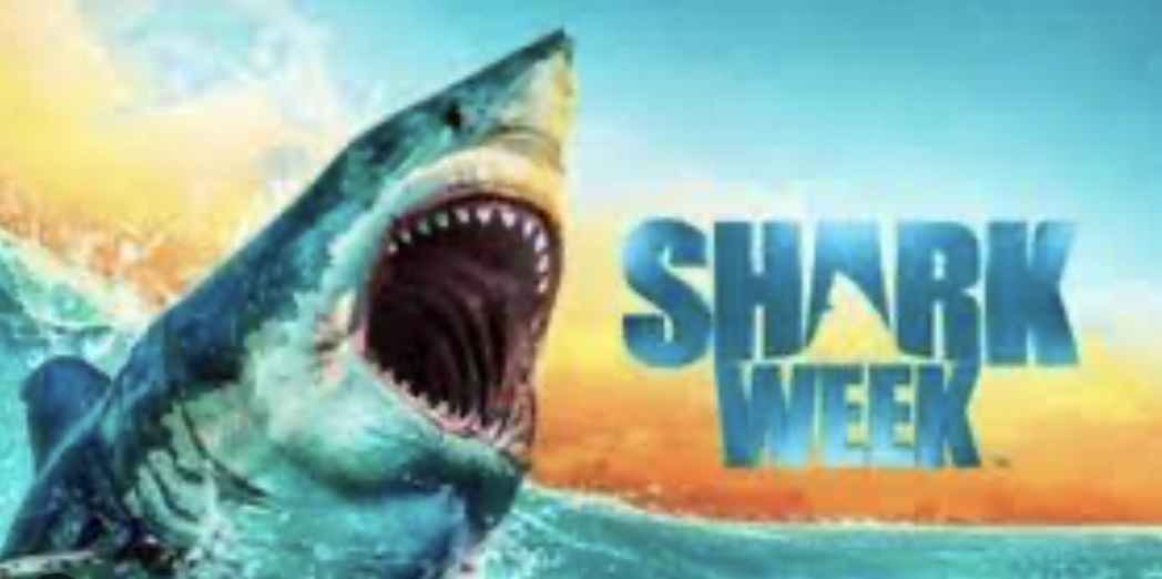 Dancing with Sharks