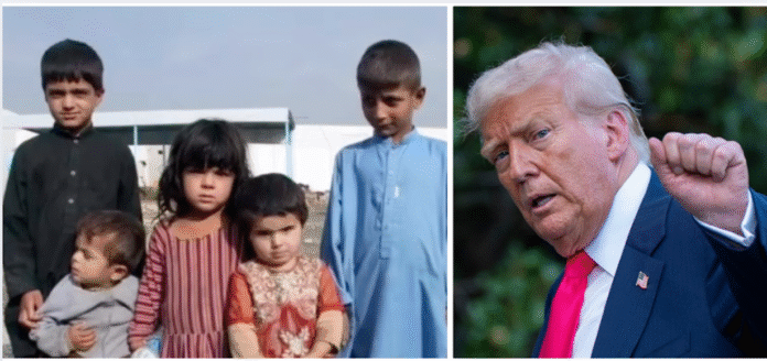 Trump Destroys Food Meant To Feed 1.5M Starving Kids