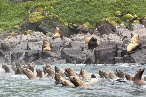 Russia Pacific Tsunami-Preview (JPG)