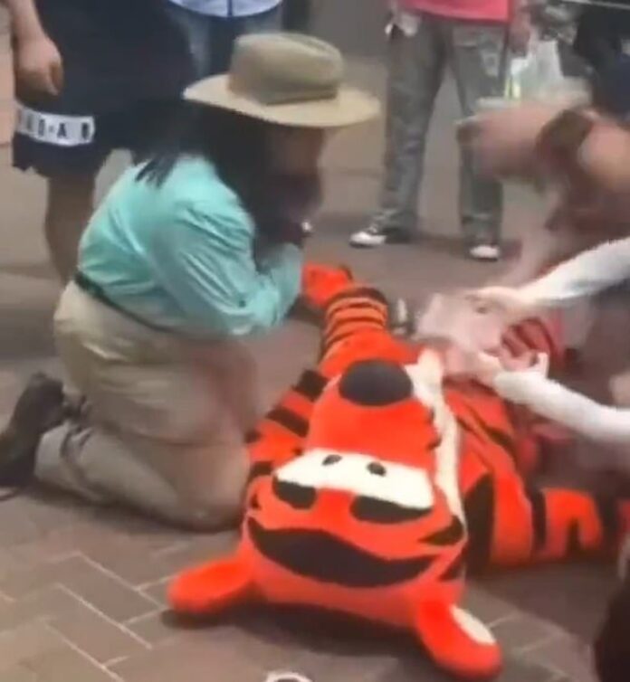 Disney Worker Suffers Heatstroke But Must Keep Mask On