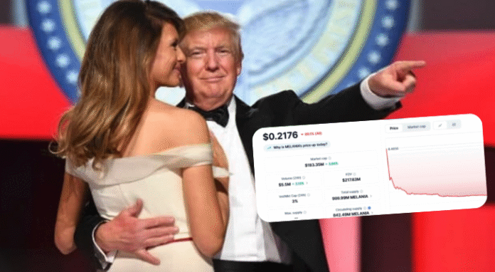 Melania Meme Coin Crashes