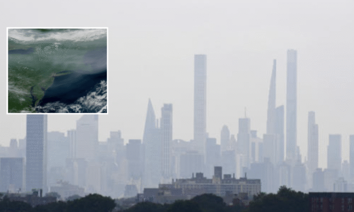 Fire Smoke Blankets New York