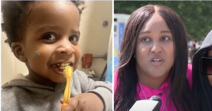Toddler Thrown Off Bridge: Mom Sues NYC Over Ignored 911 Call