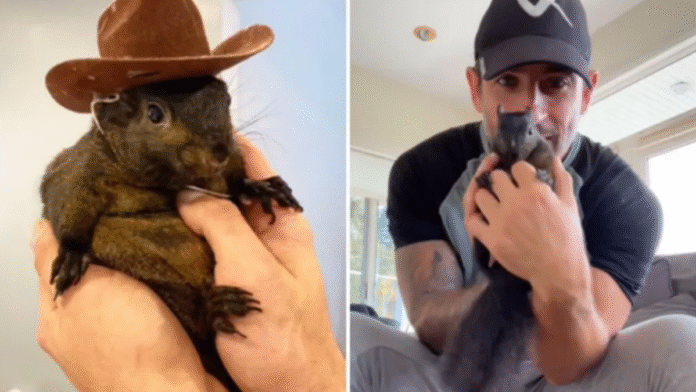 Peanut the squirrel lawsuit