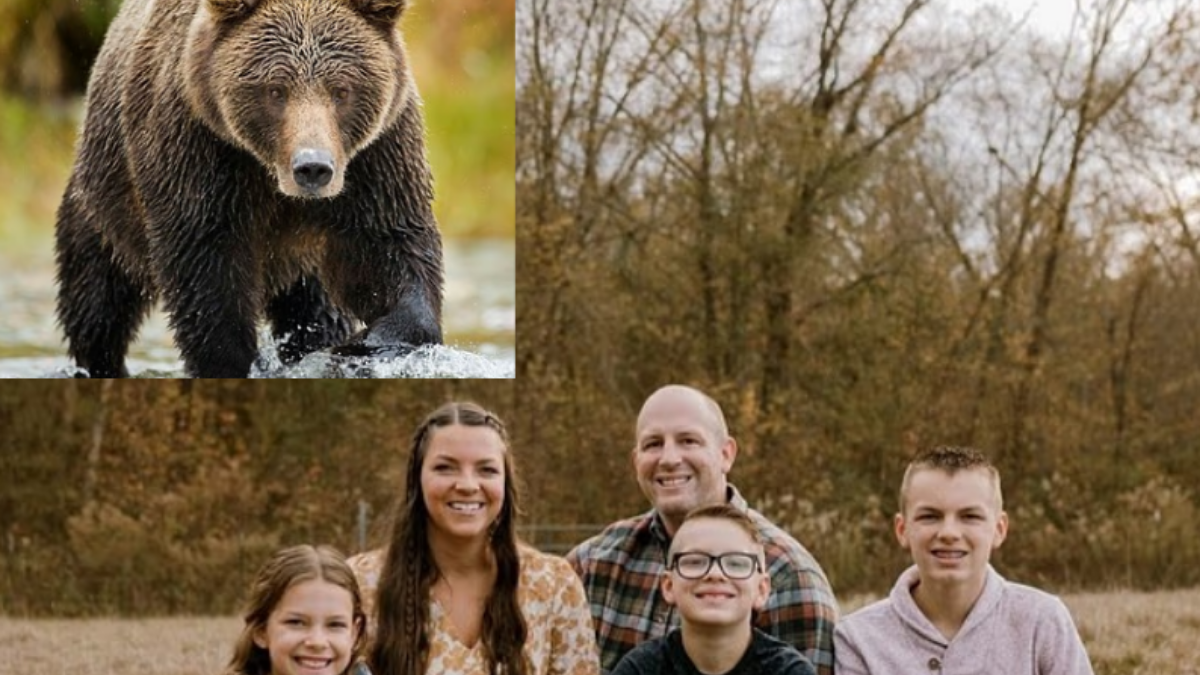 Woman Attacked By Bear